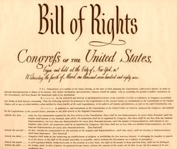 Los Angeles Constitutional Rights Lawyer